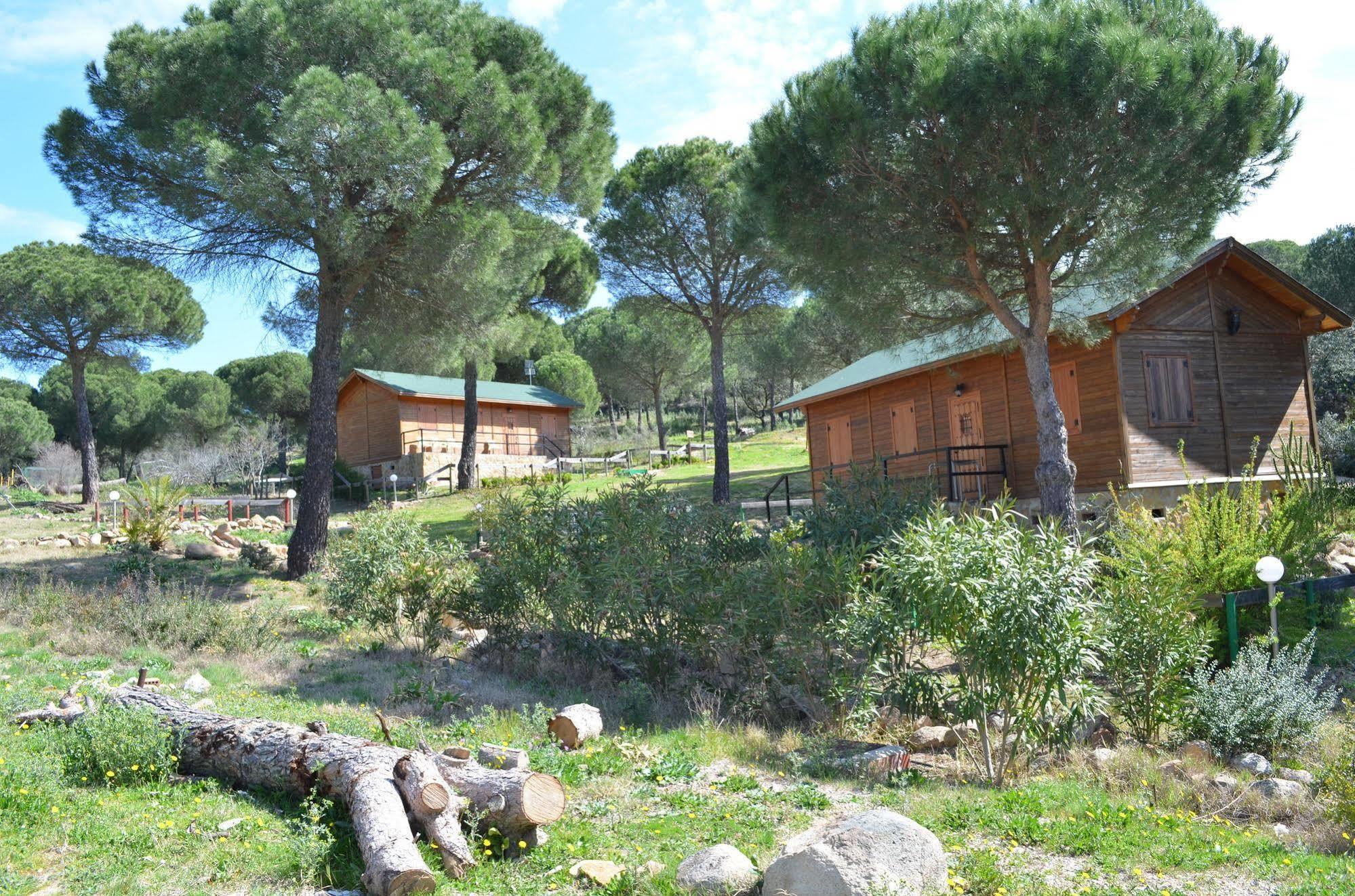 Apartamentos Paraje San Gines Andújar Dış mekan fotoğraf